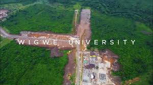 Wigwe University